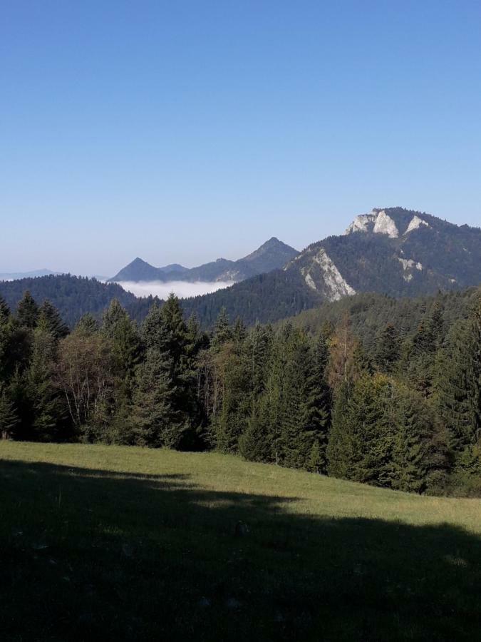 Chata Holica Pieniny Lesnica Exterior foto