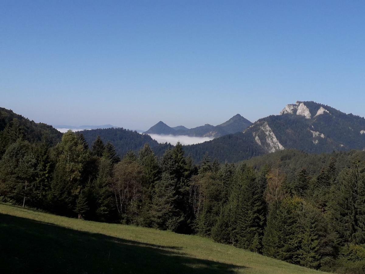 Chata Holica Pieniny Lesnica Exterior foto